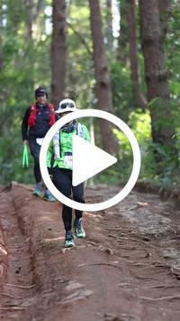 BIB:  <button type="button" onclick="openModal(26569924)" class="btn btn-primary btn-sm float-right" data-toggle="modal" data-target=".modal-high-quality">
                <i class="fa fa-download"></i> Download
                </button>